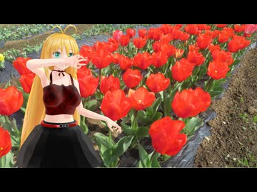 【NM4-02】新弦巻マキと名所探訪 第316話「大分県・おかばる花公園」