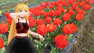 はるまき様 NM4-02】新弦巻マキと名所探訪 第316話「大分県・おかばる花公園
