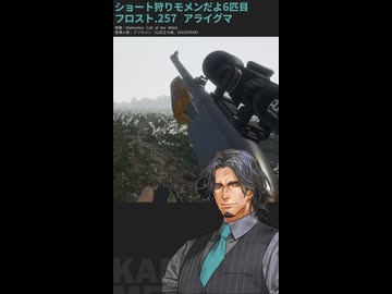 ショート狩りモメンだよ6匹目：フロスト.257 アライグマ【theHunter:CotWフリモメン実況】