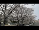 明日のこと feat.鏡音リン