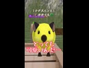【Master of Epic】モルモットくんの紹介｜＃激カワ！！【voicevox実況】＃猫使姉妹