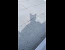 超会議バスツアーチケット受け取り待ちの憂鬱