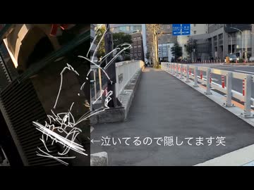 おばけに会った日 - ついなちゃん