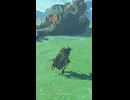 【ティアキン】ルト台地のヒノックス ゼルダの伝説ティアーズオブザキングダム