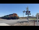 *GS タイプ1 feat. ⁨@BNSF1458⁩* アイオワ州プレスコット、クインス・アベニュー // 踏切 // 2026年4月20日 // BNSF 1844
