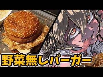 一緒に野菜の無い悪いチキンタツタを作らないか？そこの少年・・・♥。【ナースロボ タイプＴ】