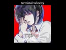 【M3-2025春】Terminal Velocity【XFD】