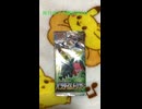 毎日ポケカ開封9日目