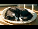 目を閉じればいつでも君に会える