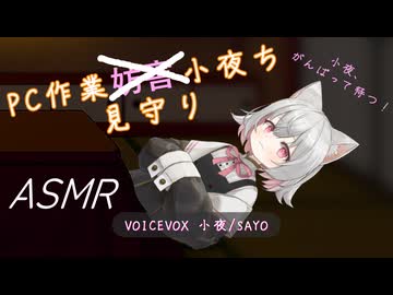 【ASMROID】小夜ちに見守られ？ながらコタツで作業【タイピング音】