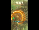 【ティアキン】ワシュアの丘東のイエロック ゼルダの伝説ティアーズオブザキングダム