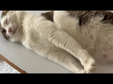 去年の梅雨の映像