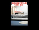 今日は寝坊できない！という朝に猫が起こしに来てくれました