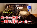 【飼い主には内緒♥】猫のデュフィと朝まで一緒に寝てみたら…　（ @HikakinTV  リスペクト企画）
