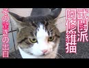 武闘派阿修羅猫、その驚きの出自