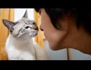 お別れの時がやってきました