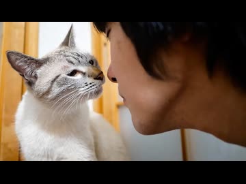 お別れの時がやってきました