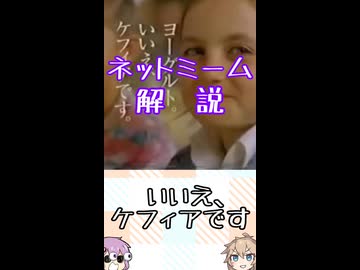 ゆかつむネットミーム解説【いいえ、ケフィアです】