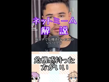 ゆかつむネットミーム解説【危機感持った方がいい】