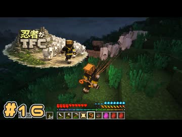 【Minecraft】忍者がTFC # 16【TerraFirmaCraft】
