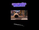 アニメ版 イクイク！ヤジュカー
