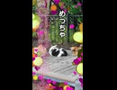 ​【桜島】雨宿りする猫たちが可愛すぎる…！ ※ニコニコ動画再編集版