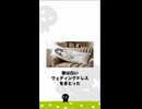 [雑学]抱き枕と結婚した男 #くろまる大冒険 #プチ知識 #雑学