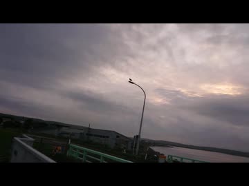 こえがききたくて
