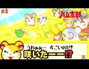 とっとこハム太郎4実況プレイしてみた⭐️#3【てぃきみ】