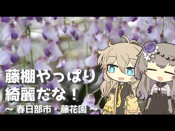 【VOICEVOX旅行】藤棚やっぱり綺麗だな！  ～春日部市・藤花園～【ラップっぽいなにか】