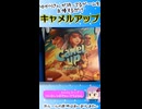 ゆかりさんが好きなボドゲを自慢する動画「キャメルアップ」