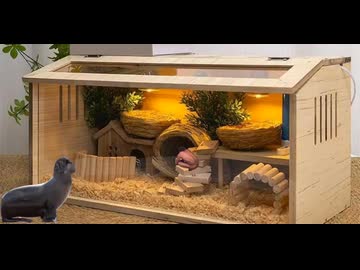 飼いタクヤさん