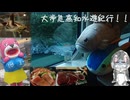 大歩危高知水遊紀行！！