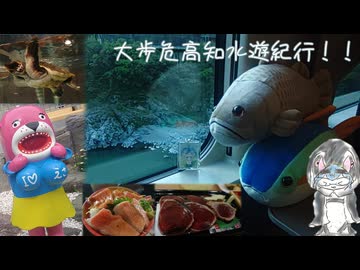 大歩危高知水遊紀行！！