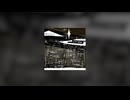 どうせなら一直線 feat.初音ミク