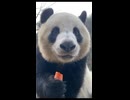 シンちゃん