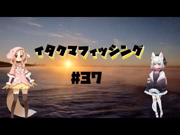 イタクマフィッシング＃37　フグサバイバー！