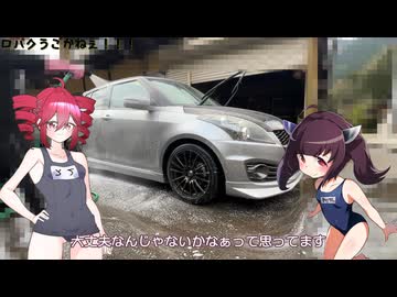 久しぶりに洗車動画作ったのに意味が分からなくなった【いつもの洗車】