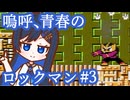 嗚呼、青春のロックマン Part3【ソフトウェアトーク実況】