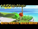 トモダチコレクション　動けないのを助ける　島の住人観察日記（ポケモン編）　＃１９１　【トモコレわくわく生活】