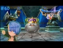 ドラゴンクエスト5実況プレイしてみた⭐️#60【てぃきみ】