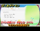 ぽこあポケモン　マイナンの生息地は？　ポケモン図鑑２３６　得意なこと　はつでん　＃９８０　【ぽこポケ】