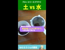 ブロッコリースプラウト栽培　土 vs 水　#ブロッコリースプラウト栽培  #家庭菜園 #水耕栽培 #寝れない夜に #深夜テンション