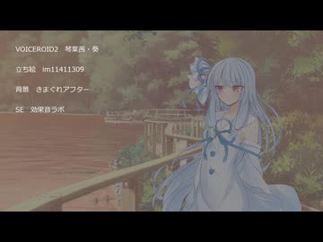 【ソフトウェアトーク劇場】お姉ちゃん、つらいよ【ダークサイド】