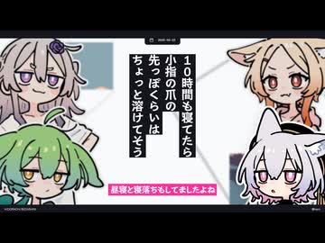 【日記】10時間も寝てたら小指の爪の先っぽくらいはちょっと溶けてそう
