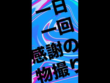 一日一回感謝のブツ撮り！『だけど私は行けない』