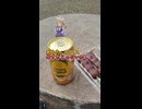 ホモと行く花見と厄除けと思い切り飲酒したんや