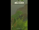 【ティアキン】ダライト森林の青ヒノックス ゼルダの伝説ティアーズオブザキングダム