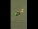 【ティアキン】闘技場跡地の雷電グリオーク ゼルダの伝説ティアーズオブザキングダム