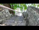 【謎すぎ】山の神社で猫が階段をトコトコ登ってきたんだがｗｗｗ□⛩️